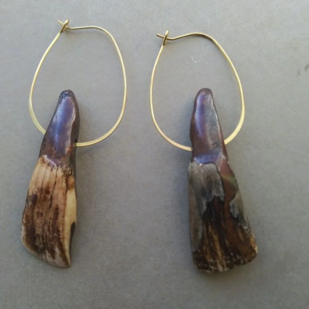 COPY - Authentic American Buffalo Teeth on Brass Hoops - Picture 5 of 7